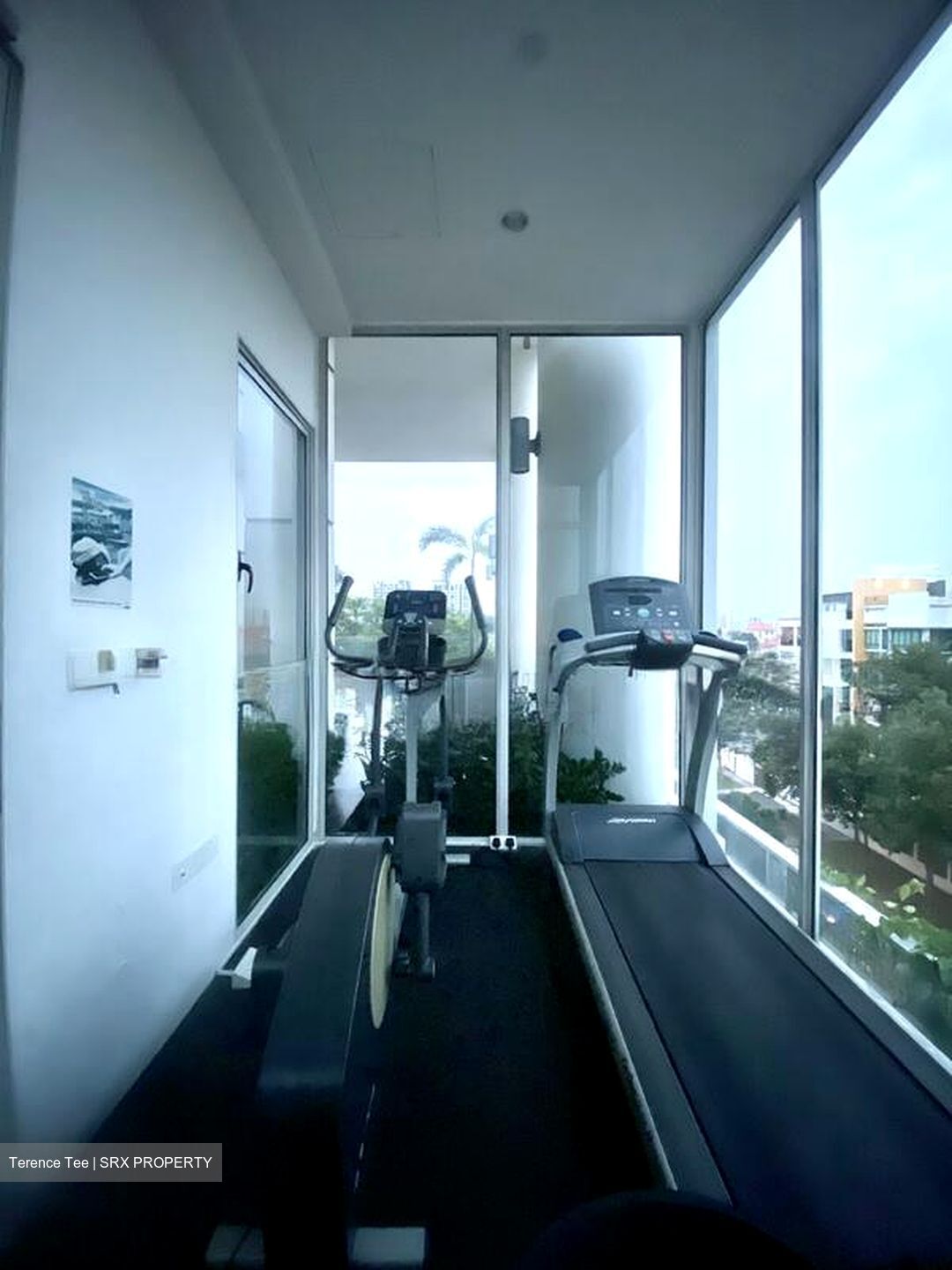 Haig 162 (D15), Apartment #501990341